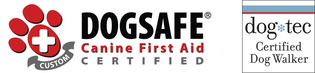 DOGSAFE Certified and Dogtec Certified Dog_Wlker